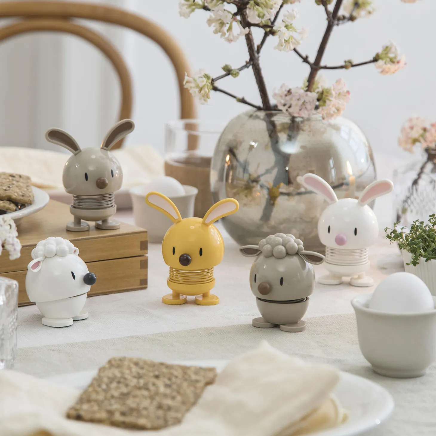 Bunny, latte