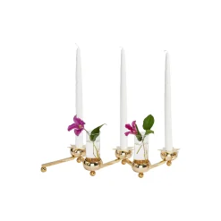 Constella Glass Inserts