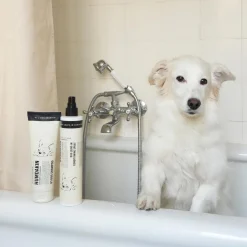 Hunde Balsam Spray
