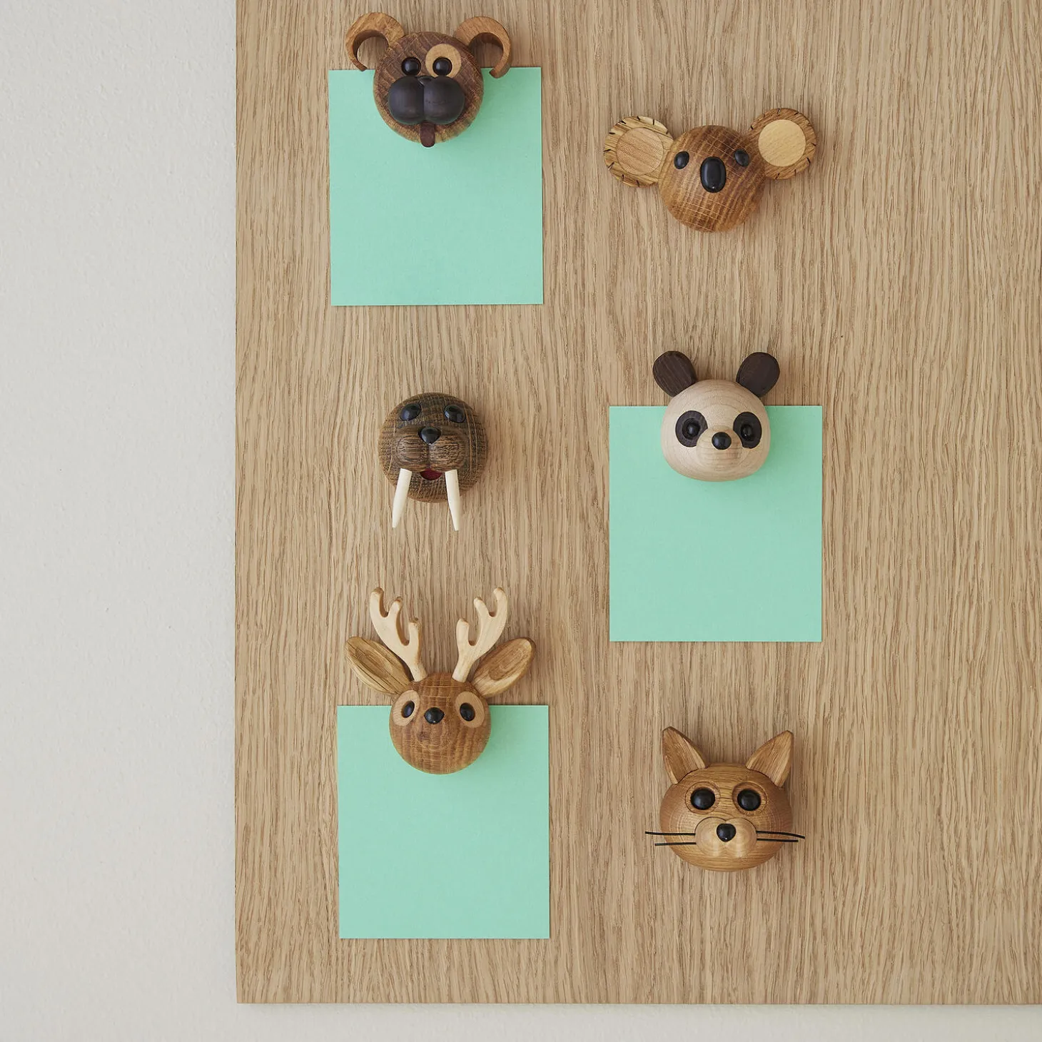 Magnetic Polly