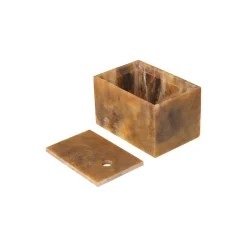 Mist Box 10x15, sugar kelp