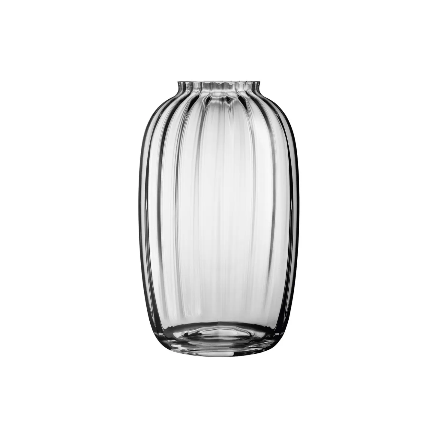 Primula vase