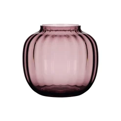 Primula vase, blomme