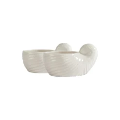 ShelleyCup 2 pcs